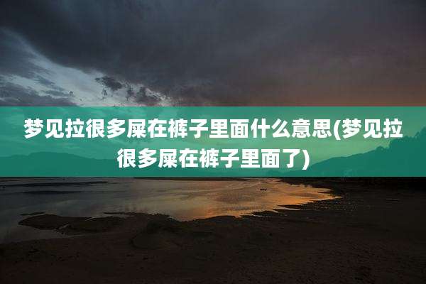 梦见拉很多屎在裤子里面什么意思(梦见拉很多屎在裤子里面了)