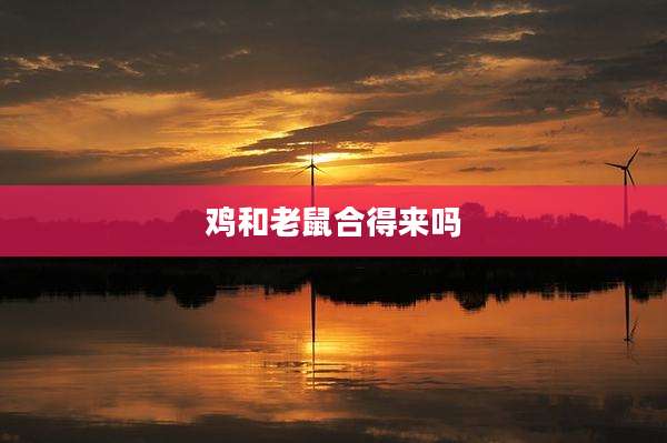 鸡和老鼠合得来吗