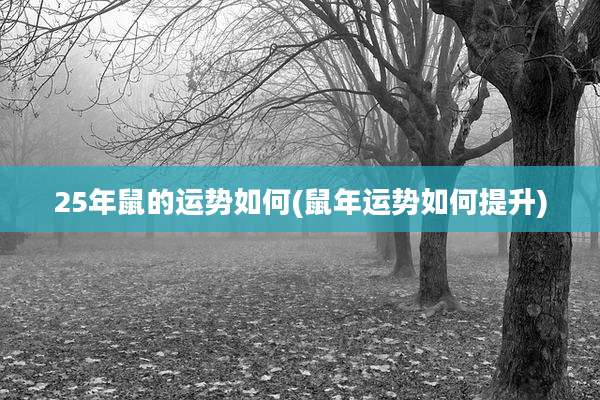 25年鼠的运势如何(鼠年运势如何提升)