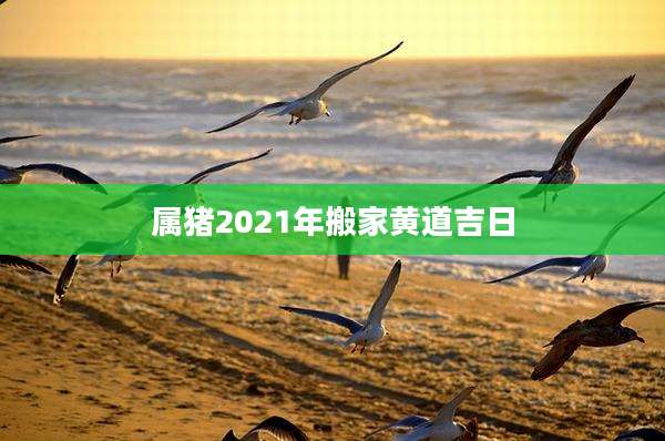 属猪2021年搬家黄道吉日