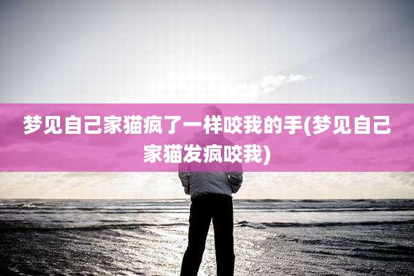梦见自己家猫疯了一样咬我的手(梦见自己家猫发疯咬我)