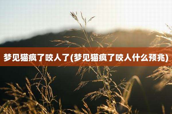 梦见猫疯了咬人了(梦见猫疯了咬人什么预兆)