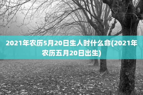 2021年农历5月20日生人时什么命(2021年农历五月20日出生)