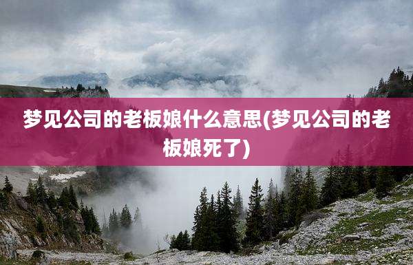 梦见公司的老板娘什么意思(梦见公司的老板娘死了)