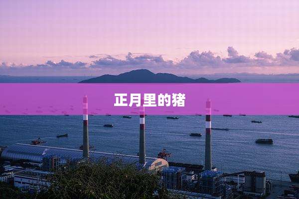 正月里的猪