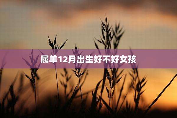 属羊12月出生好不好女孩