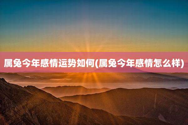 属兔今年感情运势如何(属兔今年感情怎么样)