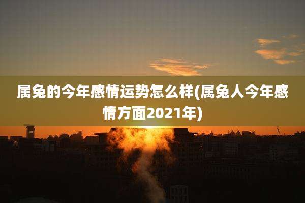 属兔的今年感情运势怎么样(属兔人今年感情方面2021年)