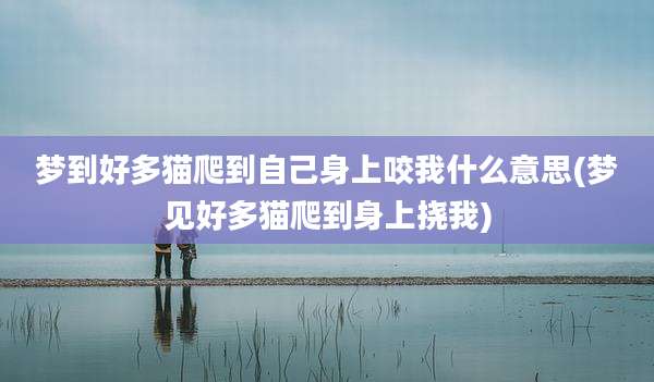 梦到好多猫爬到自己身上咬我什么意思(梦见好多猫爬到身上挠我)