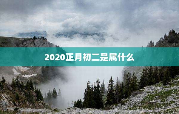 2020正月初二是属什么