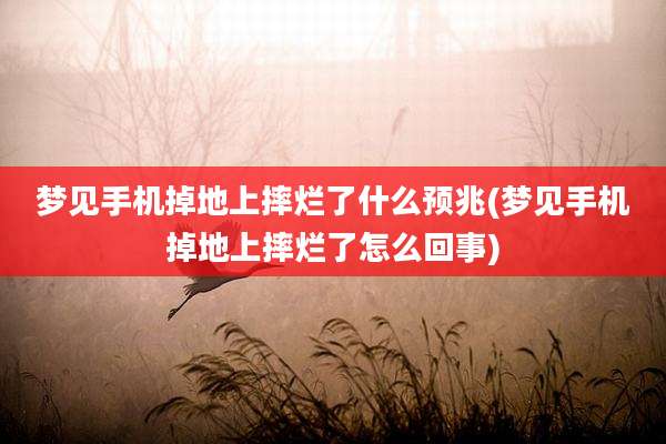 梦见手机掉地上摔烂了什么预兆(梦见手机掉地上摔烂了怎么回事)