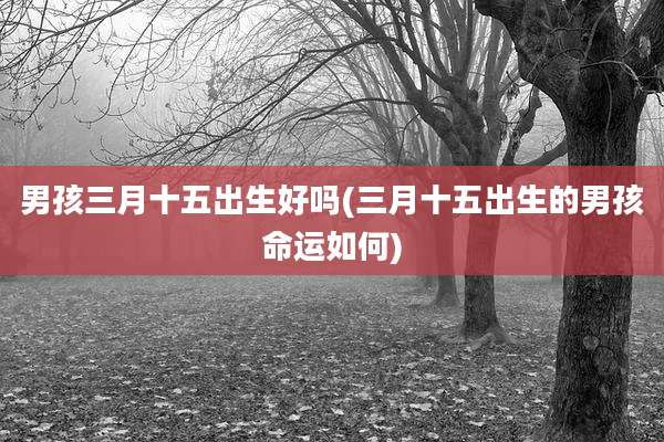 男孩三月十五出生好吗(三月十五出生的男孩命运如何)
