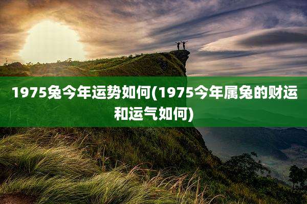1975兔今年运势如何(1975今年属兔的财运和运气如何)