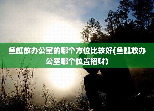 鱼缸放办公室的哪个方位比较好(鱼缸放办公室哪个位置招财)