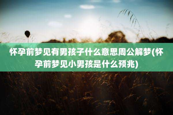 怀孕前梦见有男孩子什么意思周公解梦(怀孕前梦见小男孩是什么预兆)