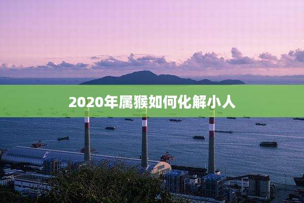 2020年属猴如何化解小人