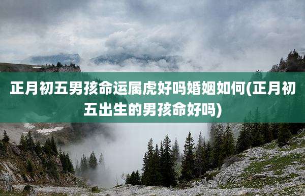 正月初五男孩命运属虎好吗婚姻如何(正月初五出生的男孩命好吗)