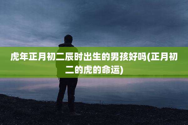 虎年正月初二辰时出生的男孩好吗(正月初二的虎的命运)