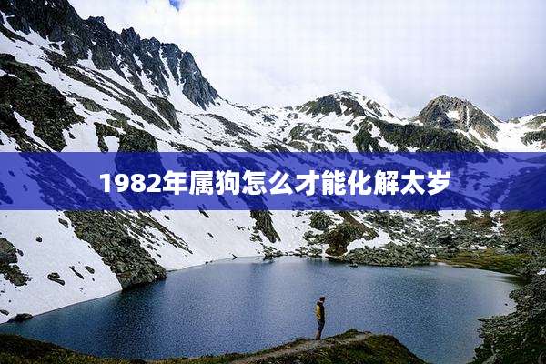 1982年属狗怎么才能化解太岁