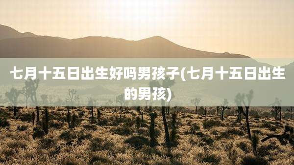 七月十五日出生好吗男孩子(七月十五日出生的男孩)