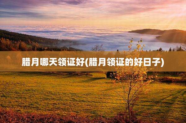 腊月哪天领证好(腊月领证的好日子)