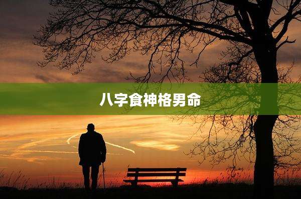八字食神格男命