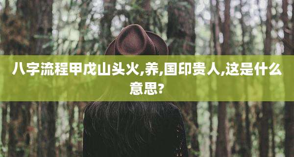 八字流程甲戊山头火,养,国印贵人,这是什么意思?