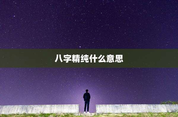 八字精纯什么意思