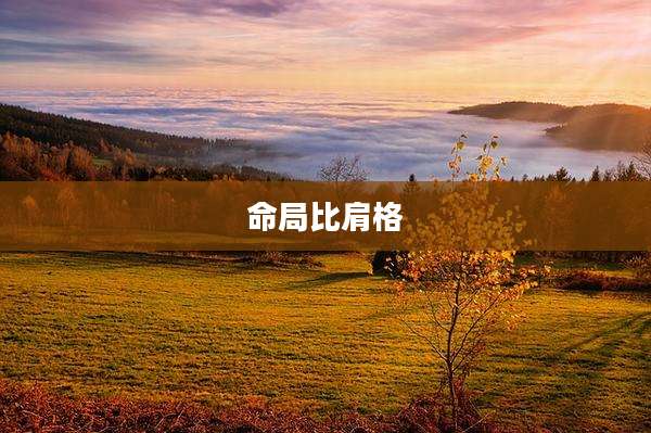 命局比肩格
