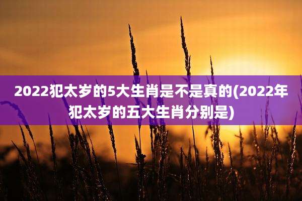 2022犯太岁的5大生肖是不是真的(2022年犯太岁的五大生肖分别是)