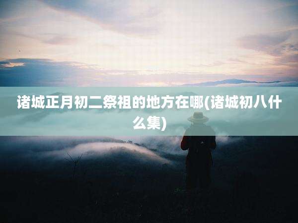 诸城正月初二祭祖的地方在哪(诸城初八什么集)