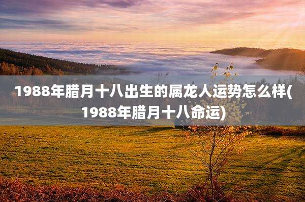 1988年腊月十八出生的属龙人运势怎么样(1988年腊月十八命运)