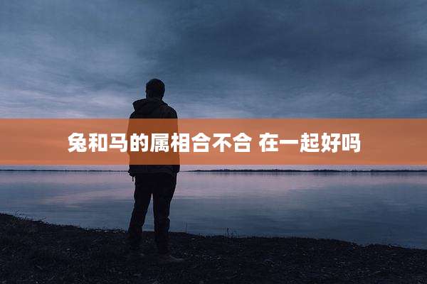 兔和马的属相合不合 在一起好吗