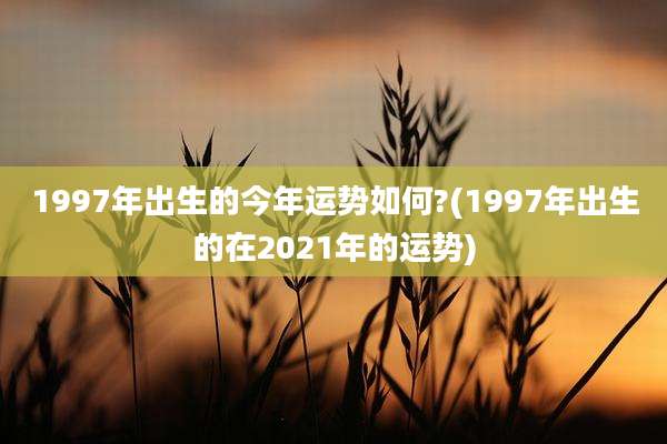 1997年出生的今年运势如何?(1997年出生的在2021年的运势)