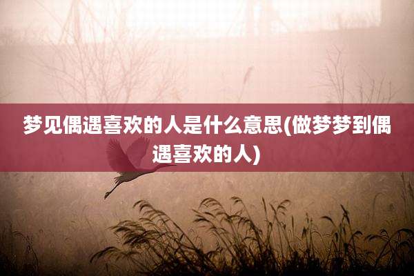梦见偶遇喜欢的人是什么意思(做梦梦到偶遇喜欢的人)