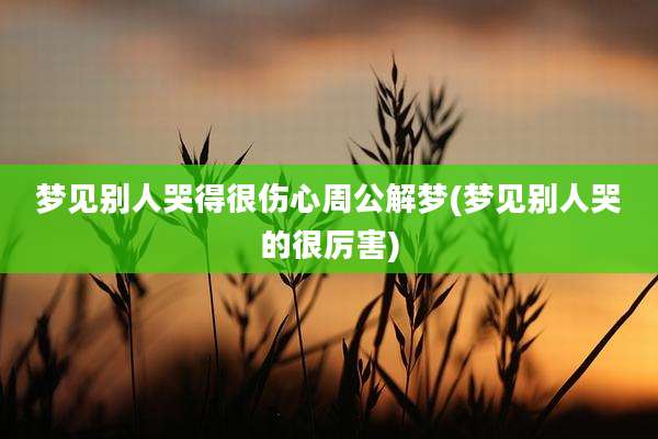 梦见别人哭得很伤心周公解梦(梦见别人哭的很厉害)