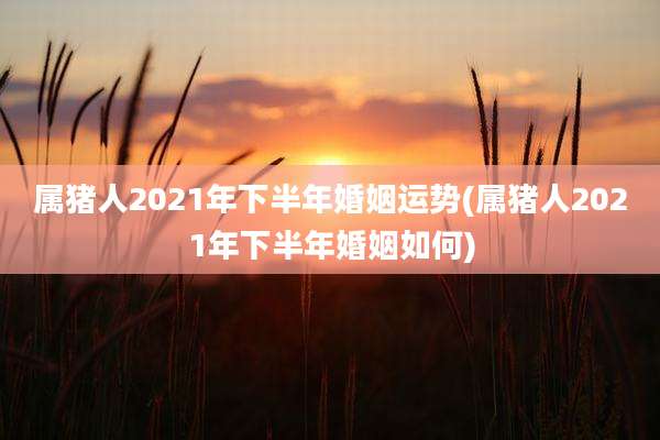 属猪人2021年下半年婚姻运势(属猪人2021年下半年婚姻如何)