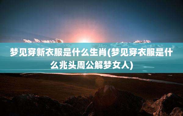 梦见穿新衣服是什么生肖(梦见穿衣服是什么兆头周公解梦女人)