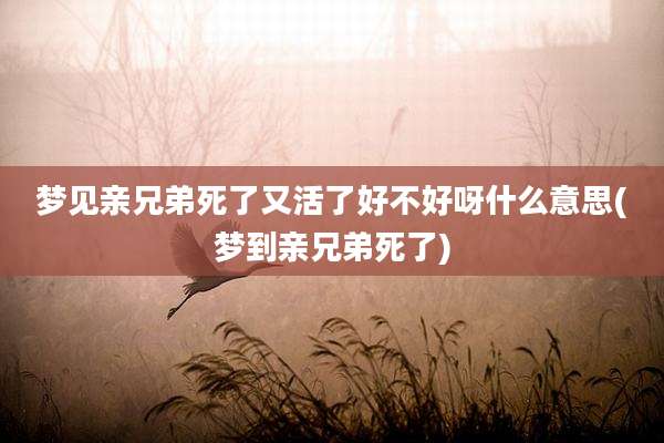 梦见亲兄弟死了又活了好不好呀什么意思(梦到亲兄弟死了)