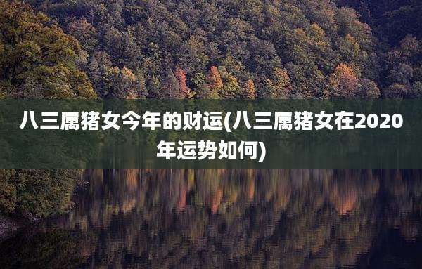 八三属猪女今年的财运(八三属猪女在2020年运势如何)