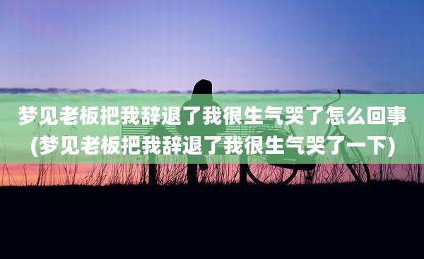 梦见老板把我辞退了我很生气哭了怎么回事(梦见老板把我辞退了我很生气哭了一下)