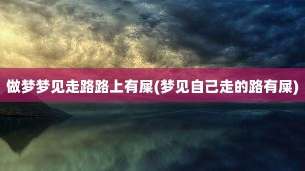 做梦梦见走路路上有屎(梦见自己走的路有屎)