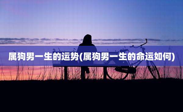 属狗男一生的运势(属狗男一生的命运如何)
