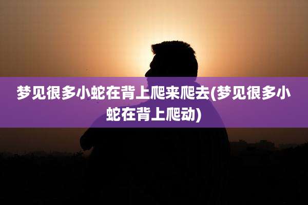梦见很多小蛇在背上爬来爬去(梦见很多小蛇在背上爬动)