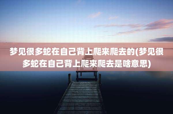 梦见很多蛇在自己背上爬来爬去的(梦见很多蛇在自己背上爬来爬去是啥意思)