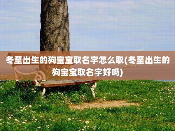 冬至出生的狗宝宝取名字怎么取(冬至出生的狗宝宝取名字好吗)