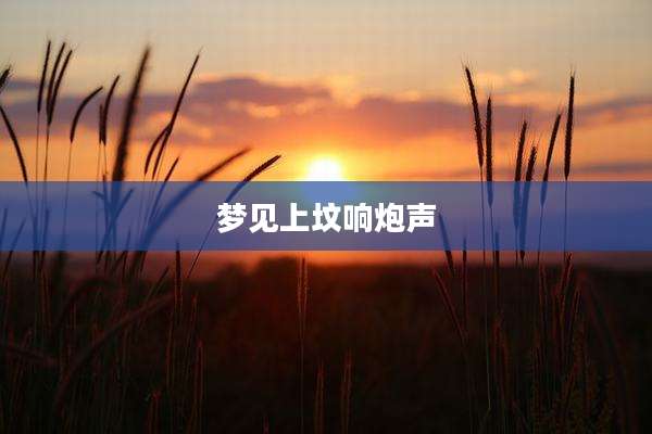 梦见上坟响炮声