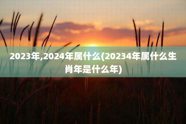 2023年,2024年属什么(20234年属什么生肖年是什么年)
