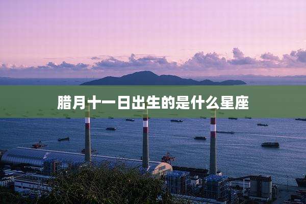 腊月十一日出生的是什么星座