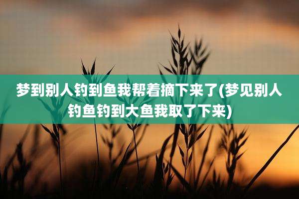 梦到别人钓到鱼我帮着摘下来了(梦见别人钓鱼钓到大鱼我取了下来)